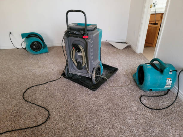 Best Water damage restoration process  in Vernon, TX
