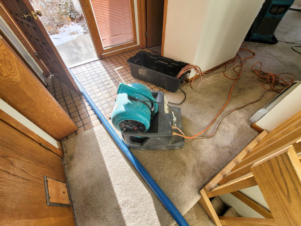 Best Water damage cleanup near me  in Vernon, TX