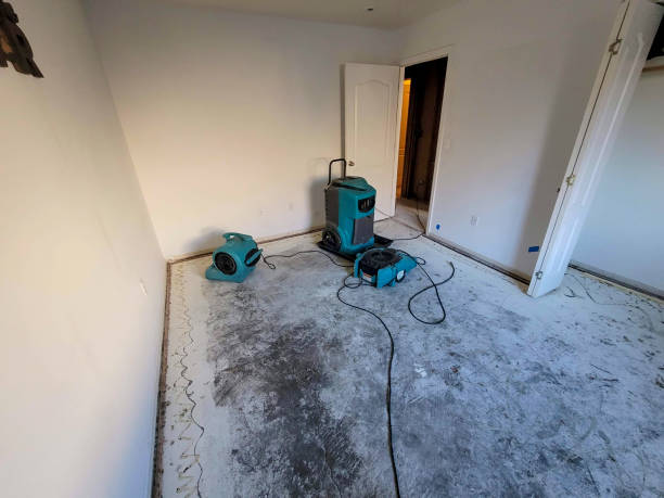 Best Flood damage cleanup  in Vernon, TX