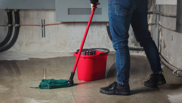 Best Water damage contractors near me  in Vernon, TX