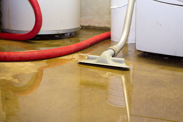 Best Emergency water damage restoration  in Vernon, TX