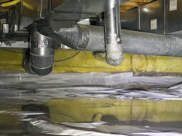 Best Water damage restoration mold remediation  in Vernon, TX