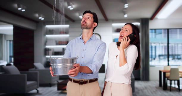 Water damage restoration mold remediation in Vernon, TX