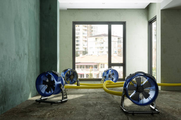 Best Local water damage restoration  in Vernon, TX