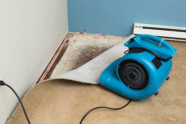Best 24-hour water damage restoration  in Vernon, TX
